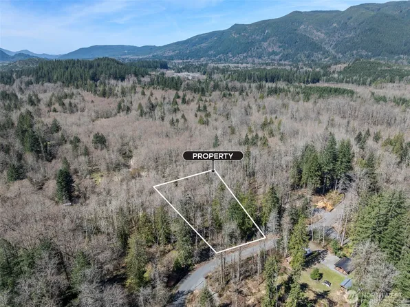 0 XX Fairway Drive, Eatonville, WA 98328