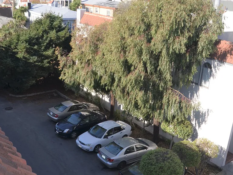 239 Dorado Ter — Photo 33