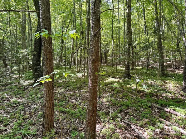 0 Tahawus Dr #58, Bostic, NC 28018