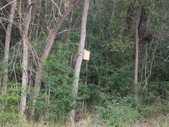 LOT 26 Wooded Reserve Ct LOT 26, Washington, TX 77880