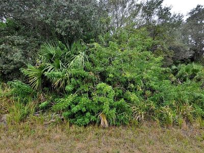 BREWSTER LOT #8 ROAD LOT 8, North Pt, FL, 34288