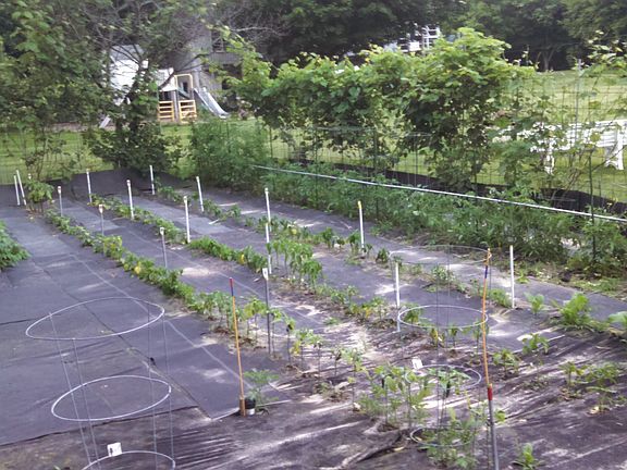 Garden Area