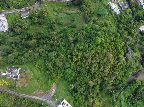 Bo Carruzo Carr 857 Km #9.5, Carolina, PR 00987