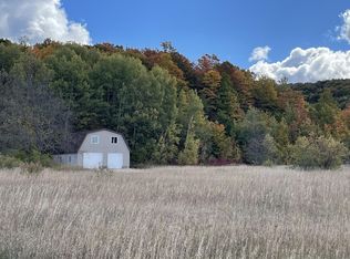 1723 Mount Jack Rd, Elmira, MI 49730