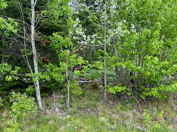 Lot 29 Fifth Avenue, Pembroke, ME 04666