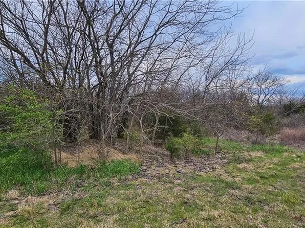 D D S State Route Hwy, Drexel, MO 64742