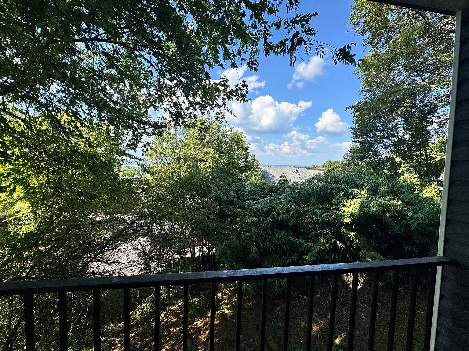2 bed, 995 sqft, $1,550 — Photo 4