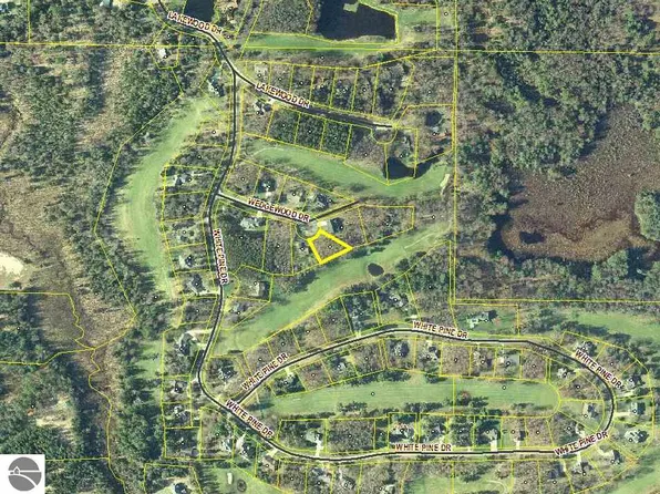 0 Wedgewood Dr, Cadillac, MI 49601