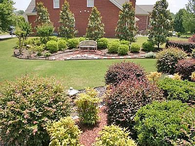 Incredible Landscaping