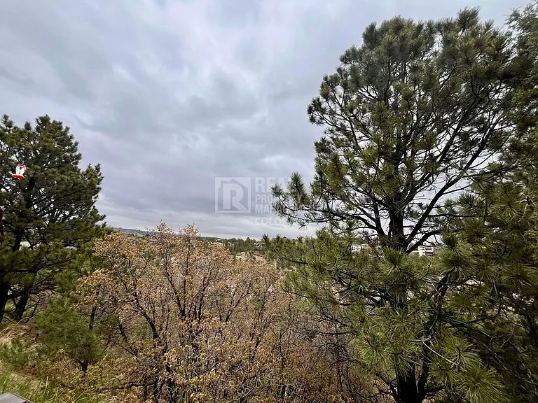 826 Pebblewood Dr — Photo 13