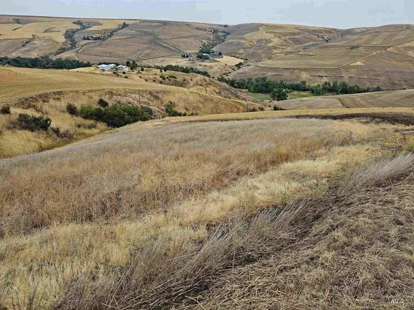 Sander Grade Parcel 2, Lapwai, ID 83540