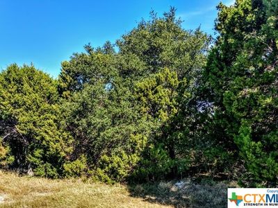 1454 Laurie Dr, Canyon Lake, TX, 78133