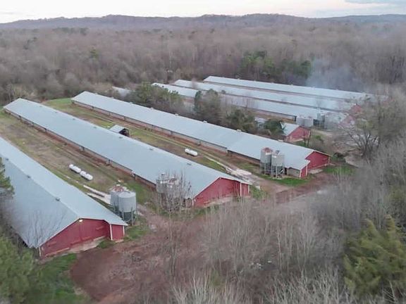 4th image of 4616 Old Highway 441 N