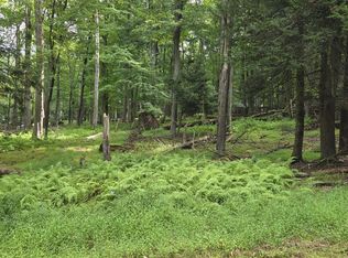 0 W Blackfoot Dr, Zion Grove, PA 17985