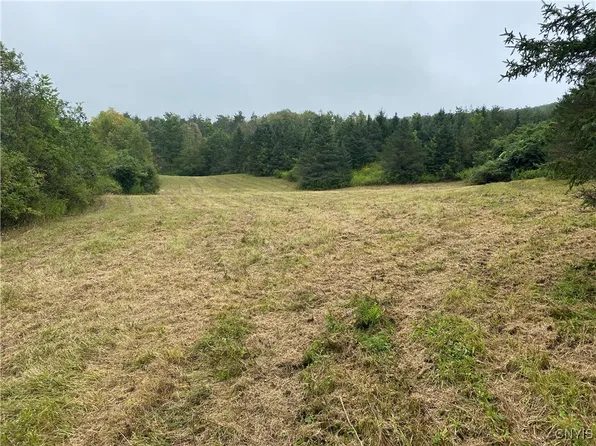 9405 County Road 15b, Canaseraga, NY 14822