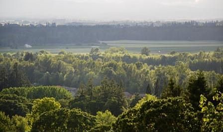View from Master