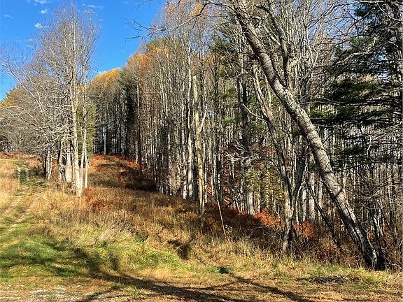 5th image of LOT 20 DOUBLE BRANCH Road