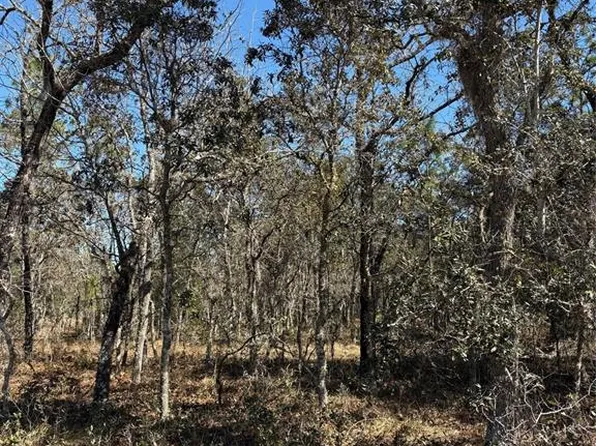 Tba Se Terrace Ter #134, Dunnellon, FL 34431