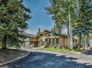 95 Cottonwood Dr, Dillon, CO 80435