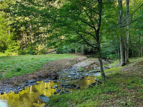 2nd image of 0 Cane Creek Mountain Rd Lot 102
