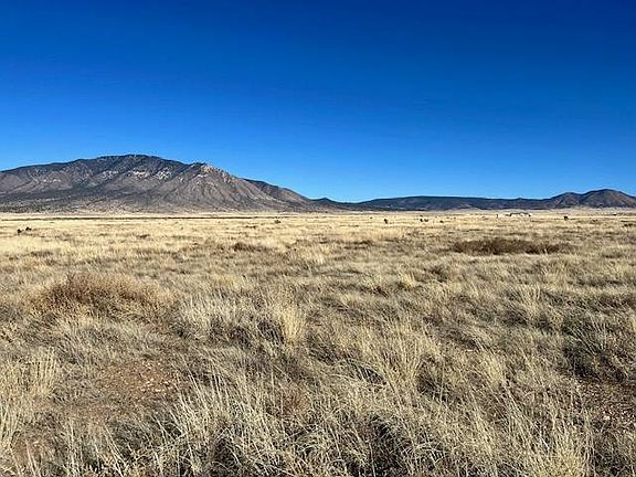 4th image of 213 Indigo Loop