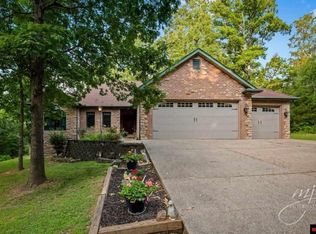 97 Glen Cove Dr, Lakeview, AR 72642