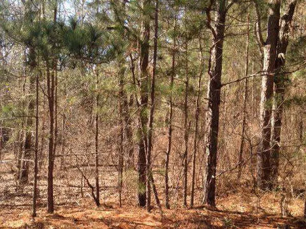 8550 Causey Ct, Lizella, GA 31052