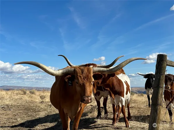 4910 Arces Jumpoff Road, Malaga, WA 98828