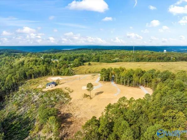 704 Loper Ln, Guntersville, AL 35976