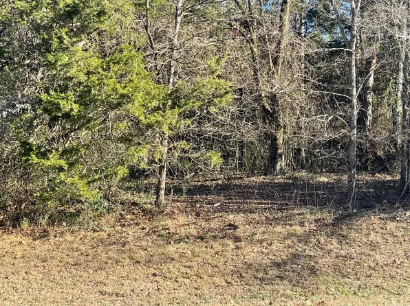 0 Highway 330 South At Ffb Mari, Fairfield Bay, AR 72088