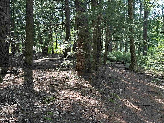 4th image of 39 Monadnock Road
