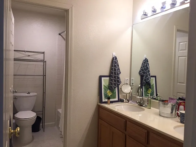 Hallway bathroom upstairs with Panasonic whisper green vent and LED light.