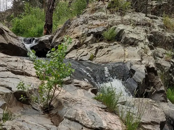 439 Redtail Ridge Way, Bellvue, CO 80512