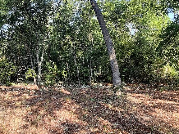 3rd image of 14243 Sand Pine Ln #B