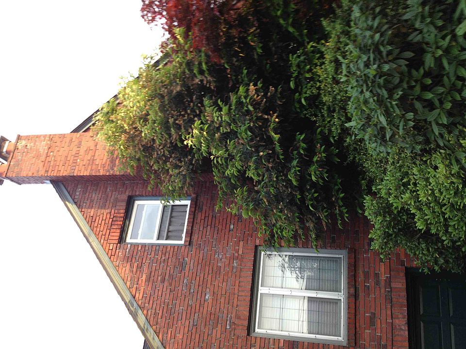 2nd image of 7916 8th Ave NE