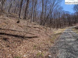 13 Valley View Ct, Elk Park, NC 28622