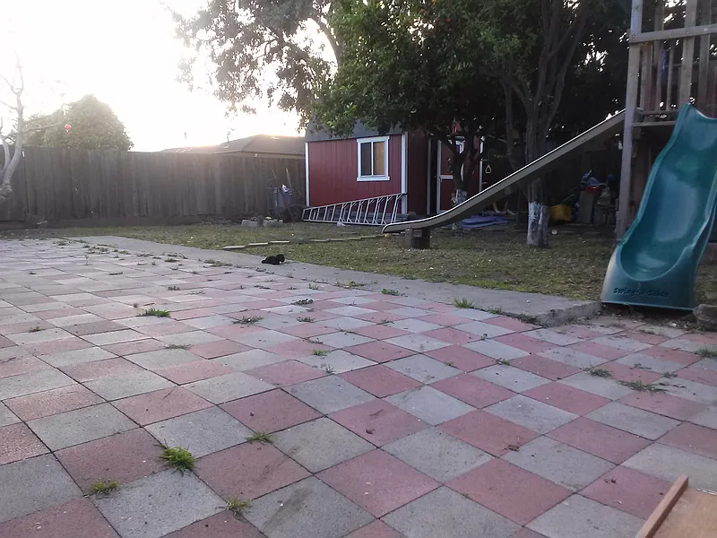 Thumbnail 10