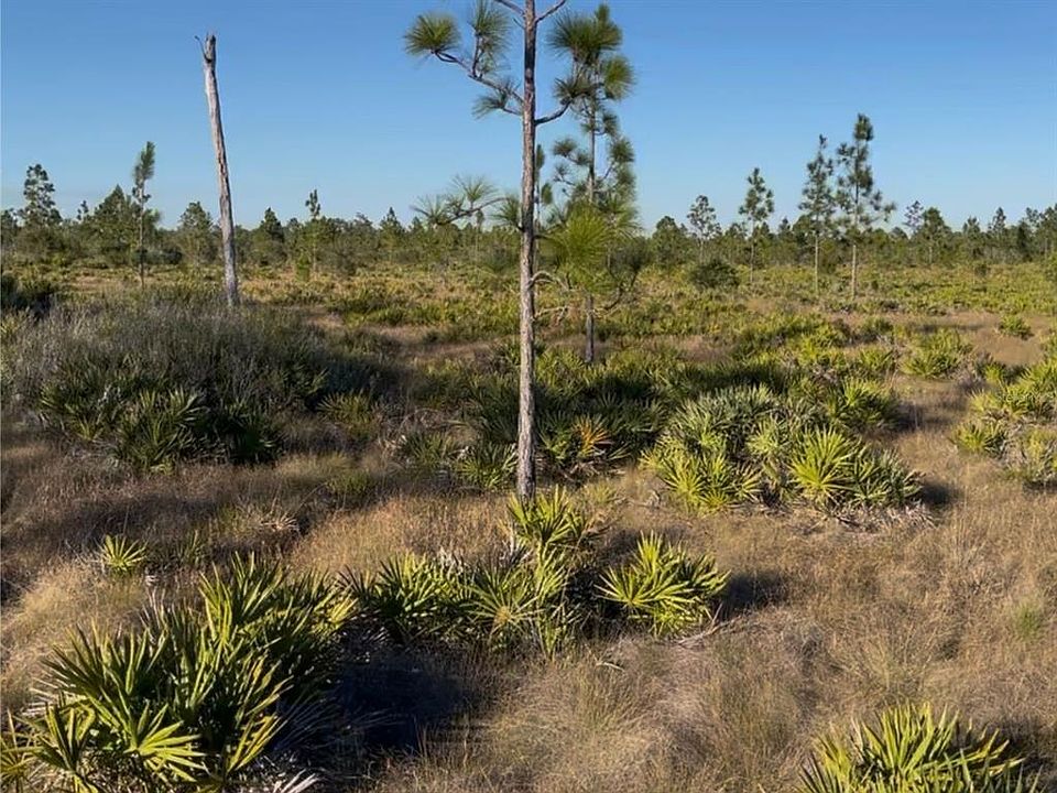 1st image of HOLOPAW GROVES ROAD