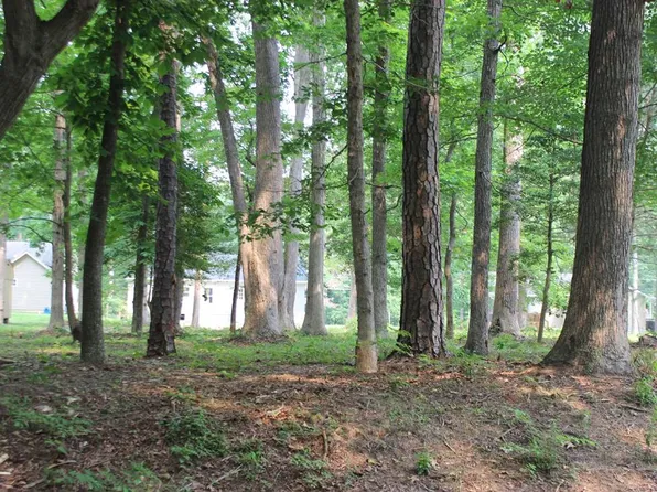 1998 Mayflower Dr #1998, Greenbackville, VA 23356