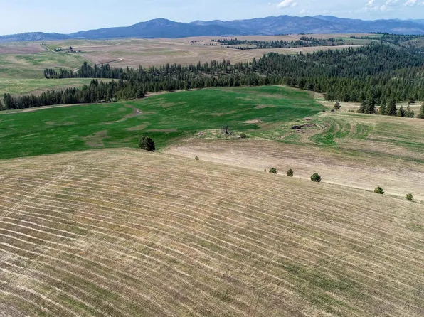 Highway 25 N, Davenport, WA 99122