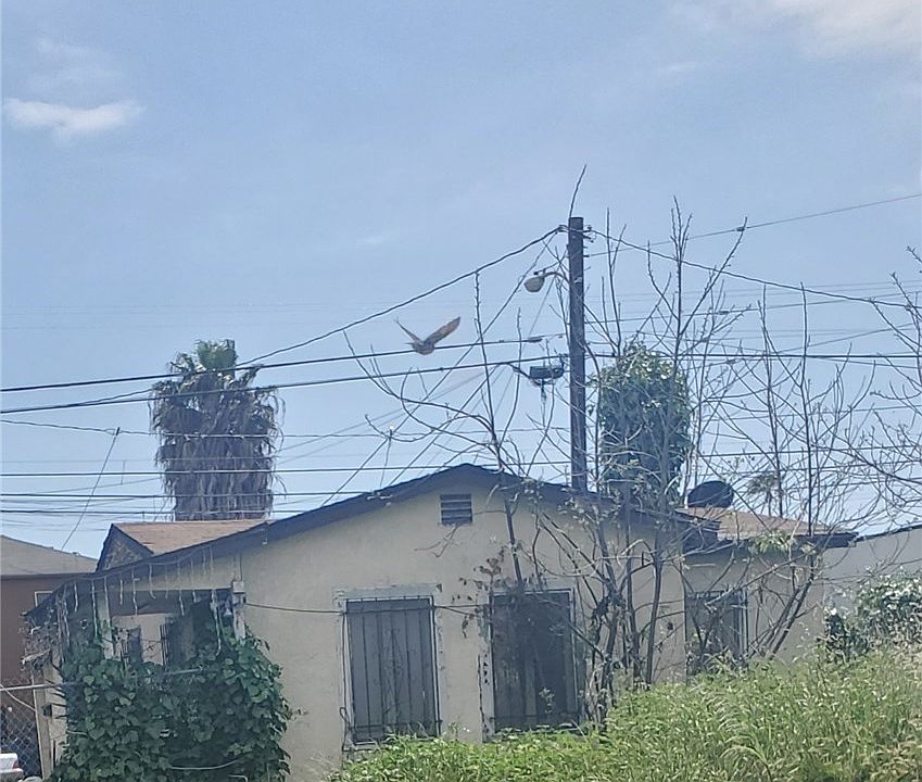 1st image of 1452 W 99th St
