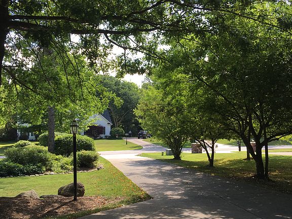 Apple trees along driveway
