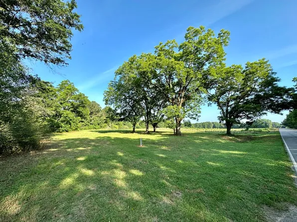 10670 S County Road 59, Midland City, AL 36350
