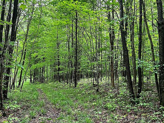 Natural Driveway