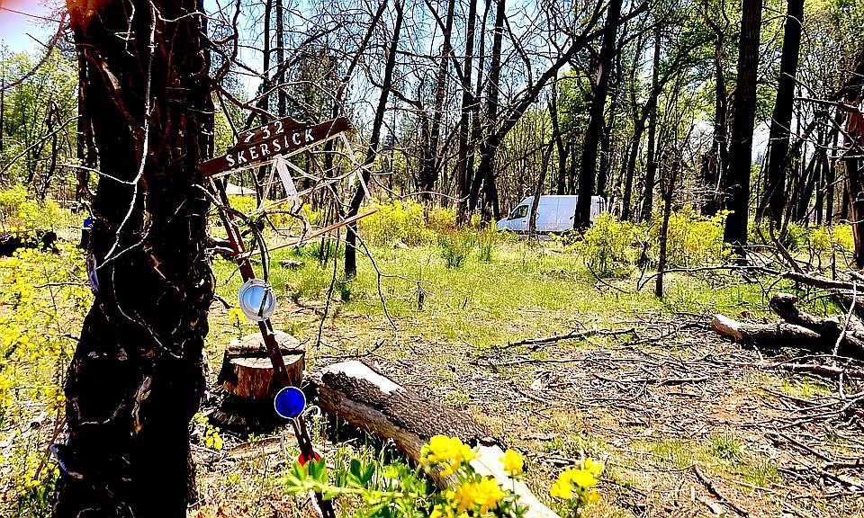 2nd image of 732 Bille Rd