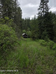 727 Blake Creek Rd, Saint Maries, ID, 83861
