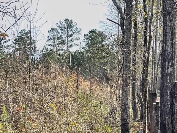 0 Zebulon Rd, Milner, GA 30257