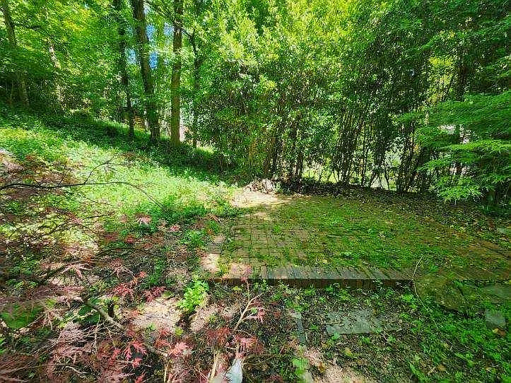505 Pine Bluff Trl — Photo 15