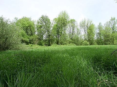 Your own private meadow