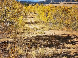 255 Laser Ln, Hartsel, CO 80449